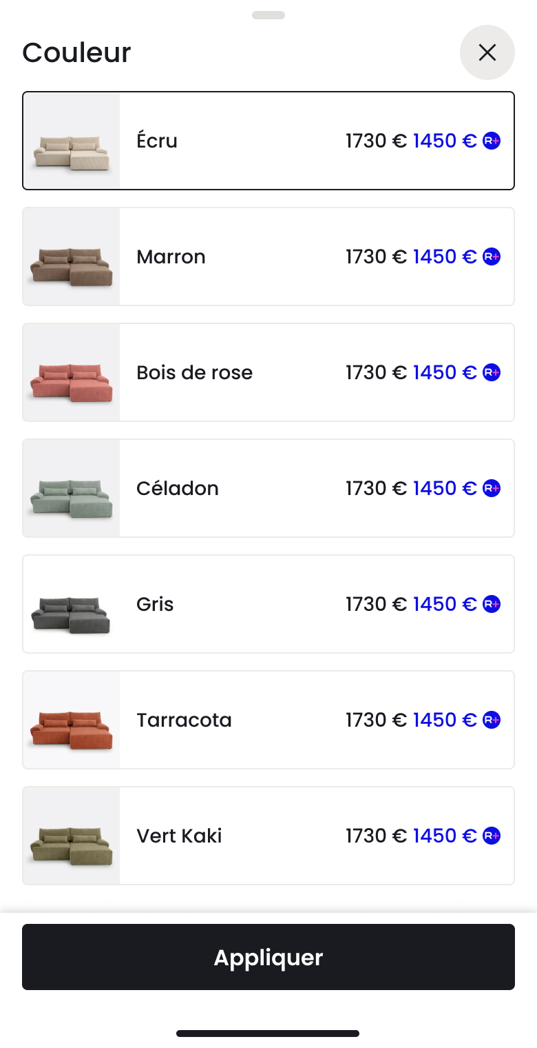 Panneau mobile — coloris agrandis et nommés, puis validation du choix
